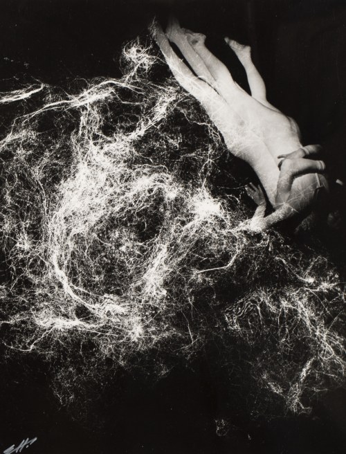 Bez tytułu, 1979, Edward Hartwig