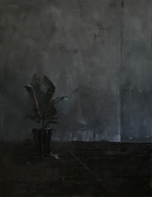 Fikus, 2013, Izabela Siemiątkowska