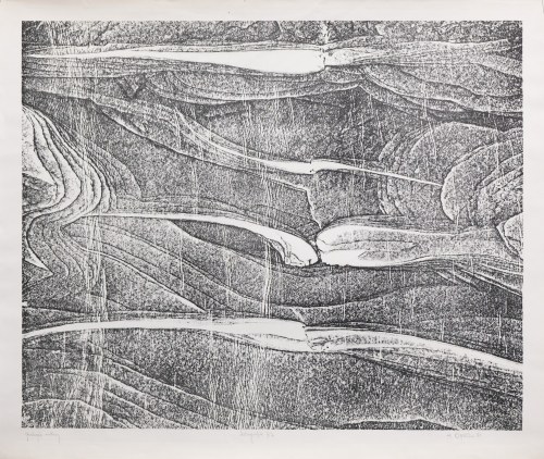 Gealogia natury, 1981, Henryk Opałka