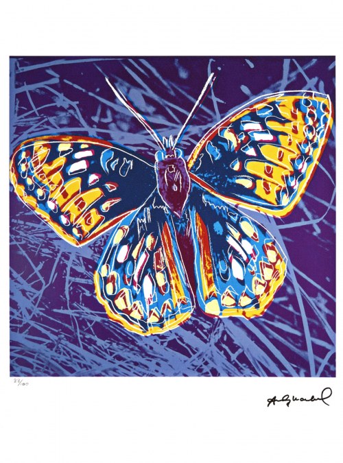 Motyl, Andy Warhol