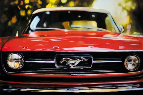 Ford Mustang, Marek Pękacz