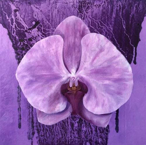 Orchidea, Natalia Dziedzic