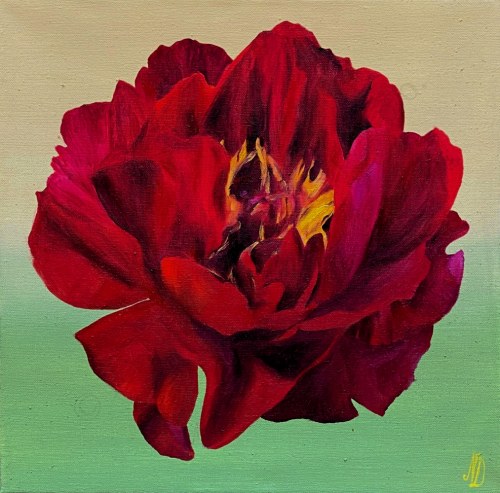 Royal Peony, Natalia Dziedzic