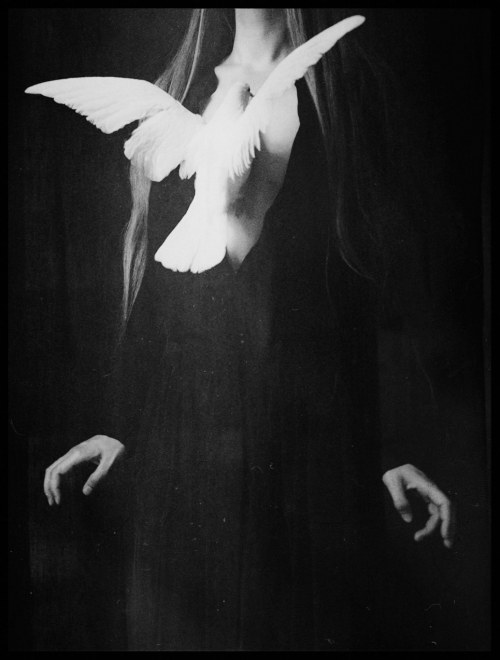 "From the ashes", 2018, Laura Makabresku