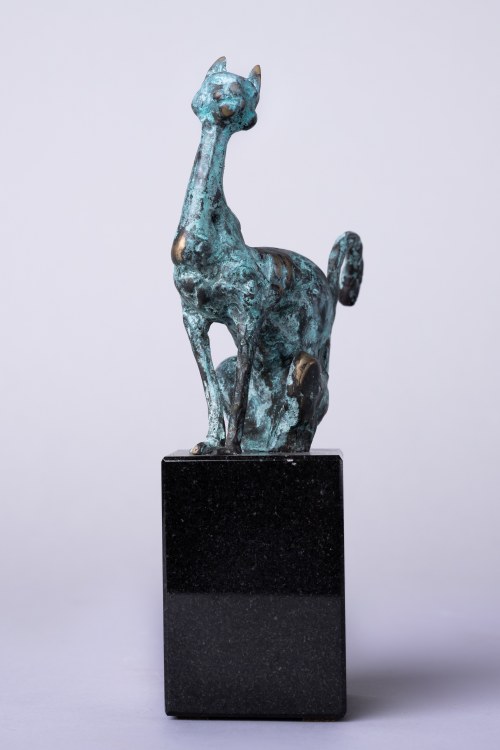 Kot, Robert Dyrcz