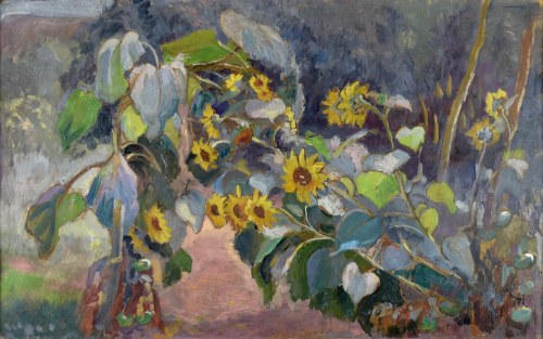 Słoneczniki, 1938, Stanisław Paciorek