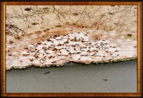 Cattle camp n. I, Jonglei State, South Sudan; 2010, Marcin Suder