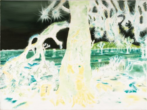 Joshua Tree; 2011, Joanna Pawlik