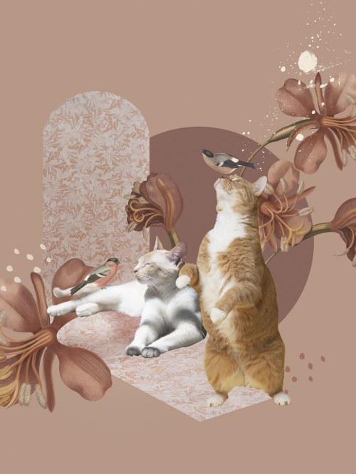 Oh Cats!, Aleksandra Morawiak