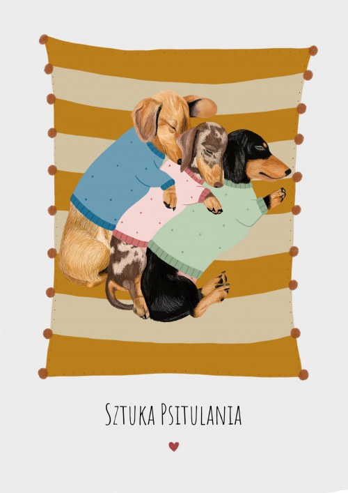 Sztuka Psitulania, Pracownia Kurpiowska