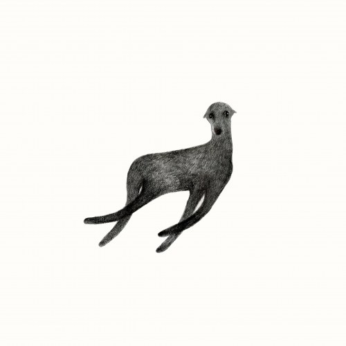 Innocence, Aleksandra Kompała