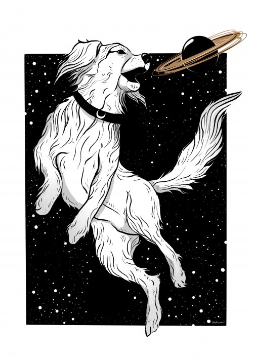 Kosmodysk, Mrtnn Jack