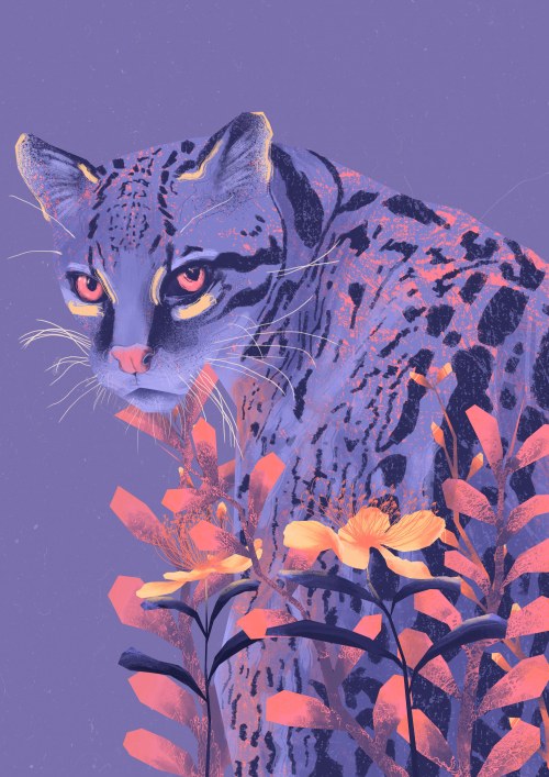 Fioletowy Ocelot, Klaudia Polak
