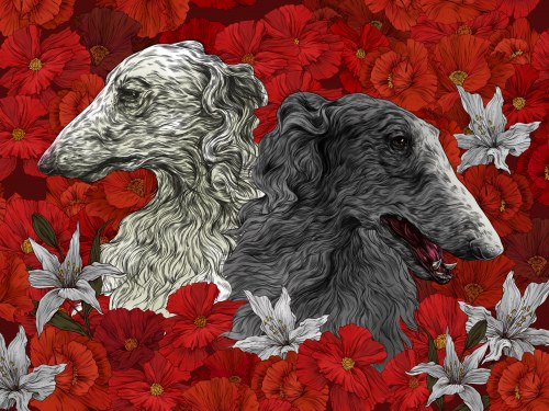 Borzoje w czerwonych kwiatach, Pelcc.Illustra