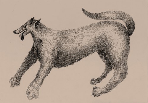Syriusz The Dog, Katarzyna Wójtowicz