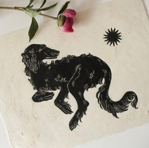 Borzoi, Aleksandra Pranica