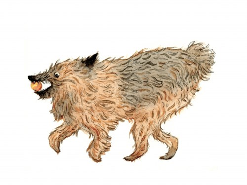 Dogs just wanna have fun (and home), Magdalena Kilarska