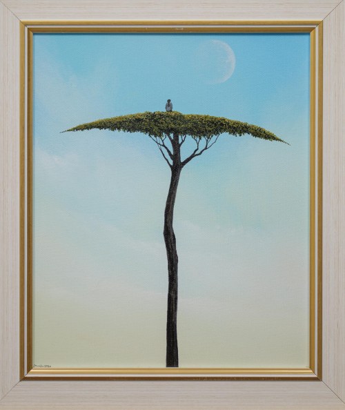 Bonsai, 2020, Wojciech Muda