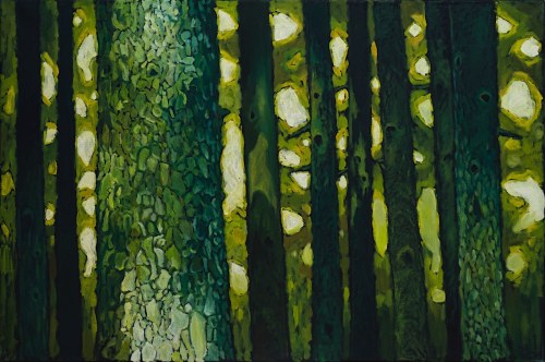 Jodły, 2008, Marcel Zwierzchowski