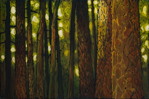 Sosny, 2008, Marcel Zwierzchowski