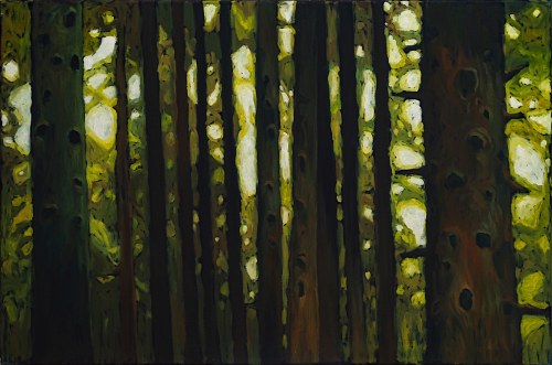 Jodły, 2008, Marcel Zwierzchowski