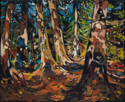 Stare drzewa, 2010, Marcel Zwierzchowski