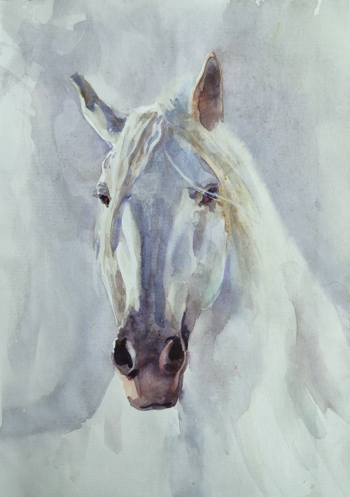 "Koń", Aleksander Franko