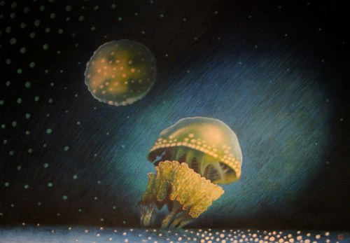 Meduza, 2007, Katarzyna Kania
