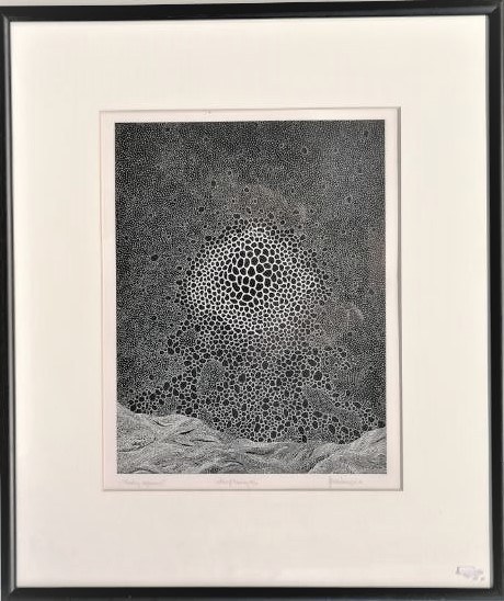 Struktury organiczne,1986, Jerzy Znamierowski