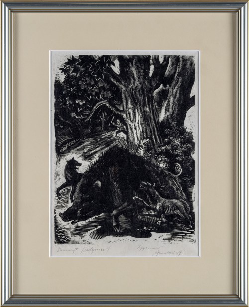 Odyniec, lata 40. XX w., Zygmunt Acedański