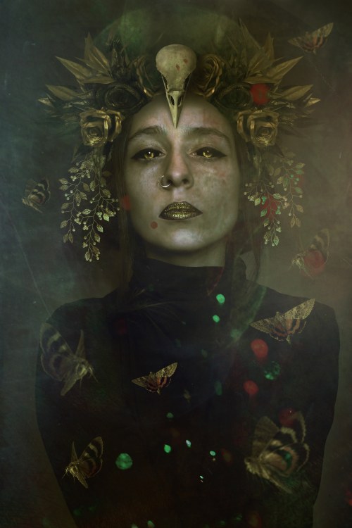 Gold, 2021, Victoria Morphine