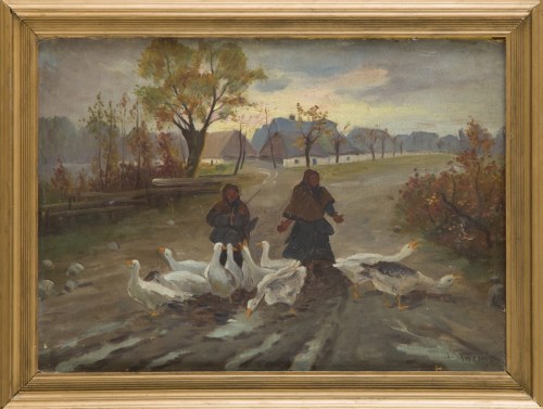 Gęsiarki, J. Stociński