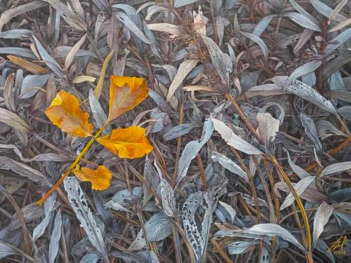 Yellow leaf, 2021, Olena Lytvynenko