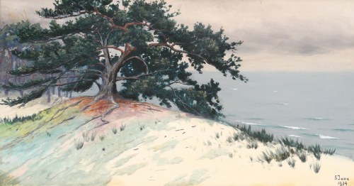 "Wybrzeże bałtyckie", Soter Jaxa-Małachowski