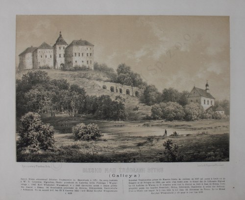 Olesko nad źródłami Styru, Napoleon Orda