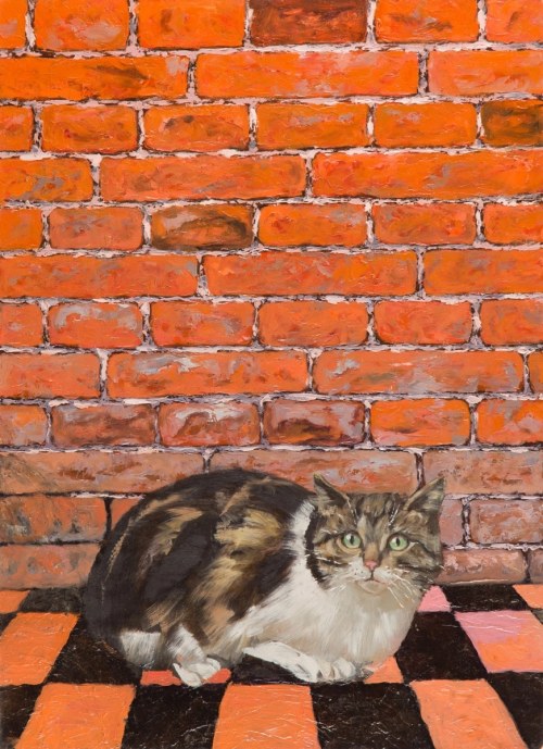 Kot, 2016, Jan Bembenista
