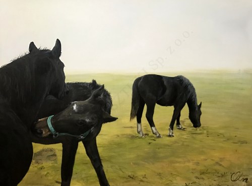 We mgle, Anna Olszewska