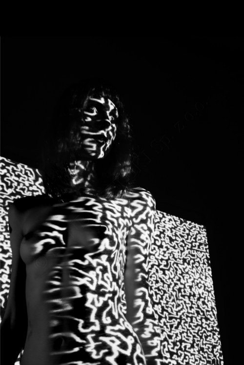 INGENIO [i818102020172ingenio], Piotr Podsiadły