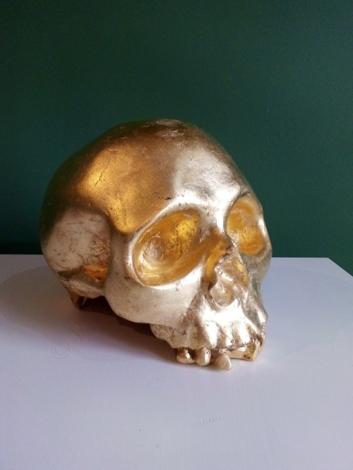 Golden skull, Agnieszka Rudnicka