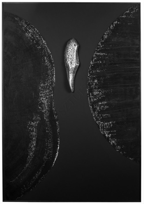 Interrogacja neuronów, Piotr Woźniak