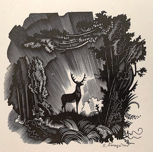 Jeleń, 1948, Edward Kuczyński