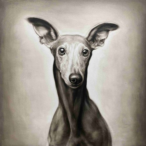 Snap Dog, 2021, Michał Torzecki