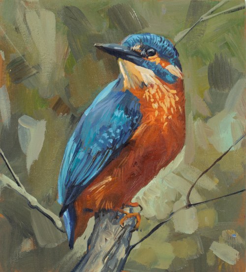 Bird. Kingfisher, 2021, Ksenia Noryk