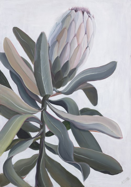Protea, 2021, Alina Shevchenko