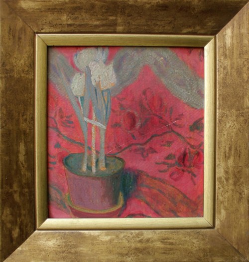 Tulipany w doniczce, Marcin Samlicki