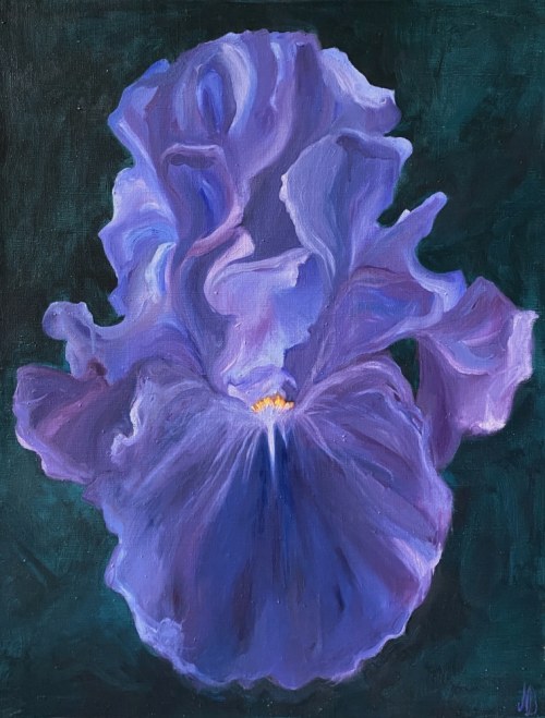 Blue Iris, Natalia Dziedzic