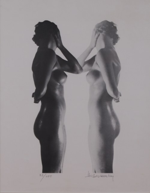 Akt, Heinz Hajek-Halke