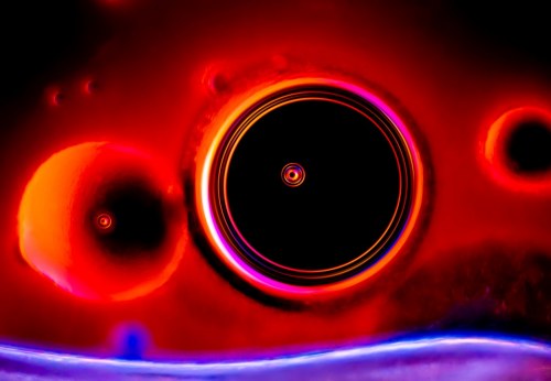 The Big Bang Singularity, Małgorzata Lisowska