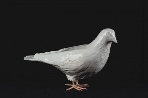 Gołąb, 2022, Sylwia Walania