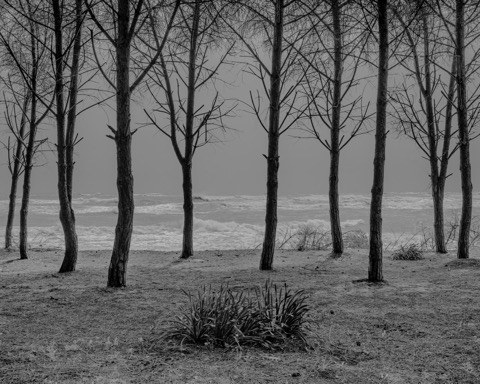 Eraclea Minoa, 2019, Jacek Poremba